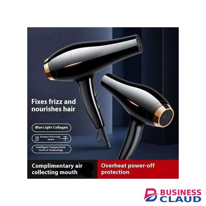 Professional 2000W Electric Hair Blower Dryer With Strong Wind