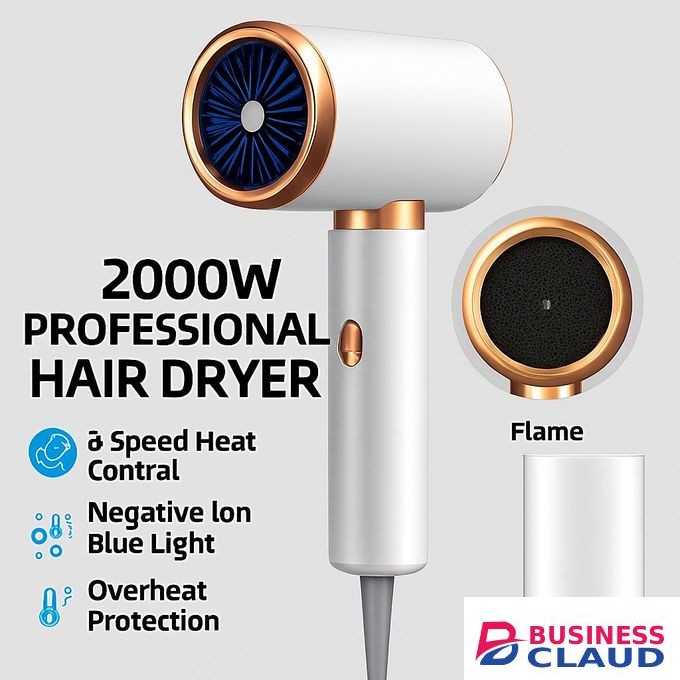Professional Edition 2000W Hair Dryer – 3-Speed Heat Control, Blue Light Negative Ions, Frizz Free Overheat Protection, Flame-Retardant Build – Home & Salon Use