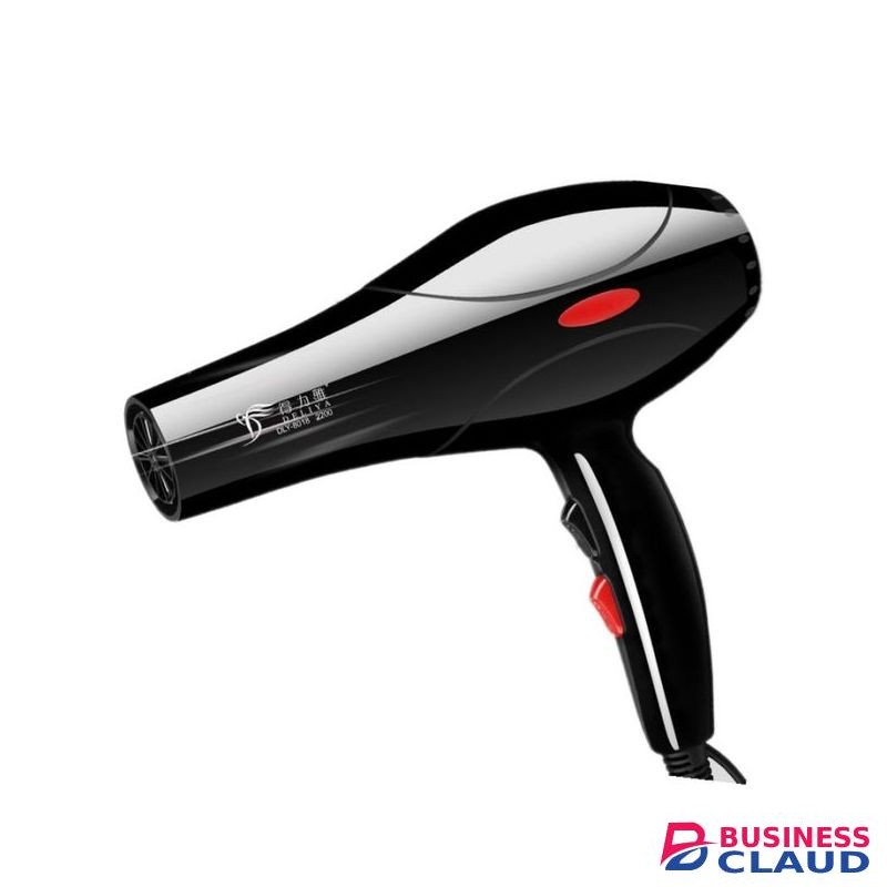 Deliya Hair Blow Dryer 2200W Hair Dryer+6 Gifts