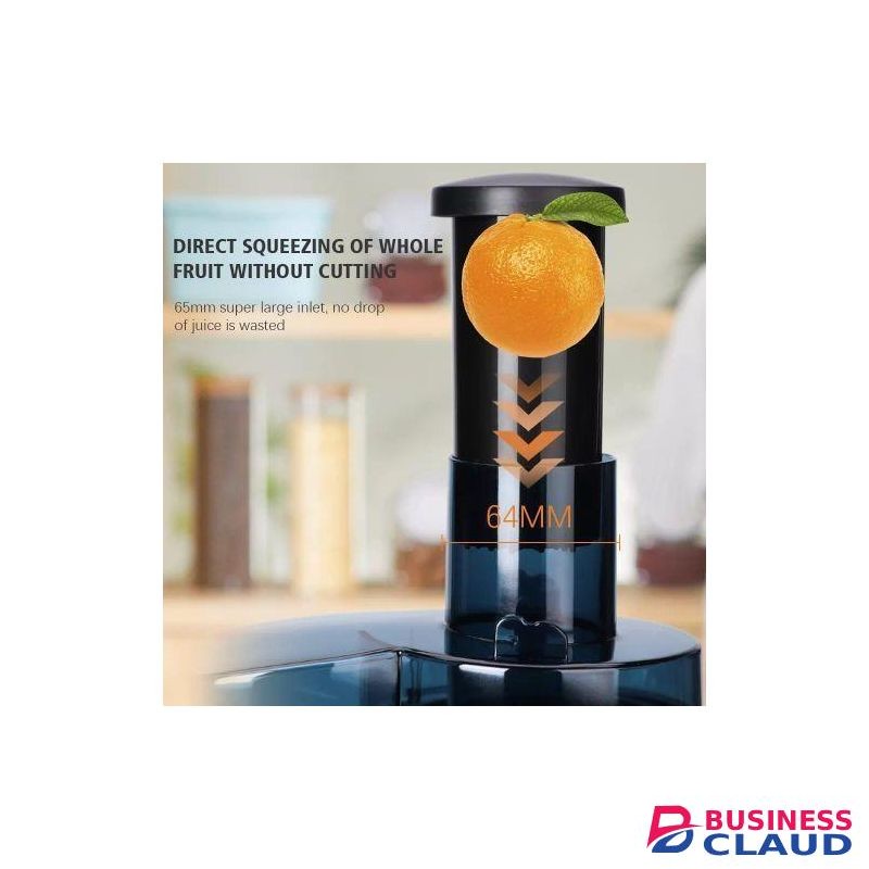 RAF Electric Juicer Machine -WHOLE Fruits/vegetable Juice Extractor