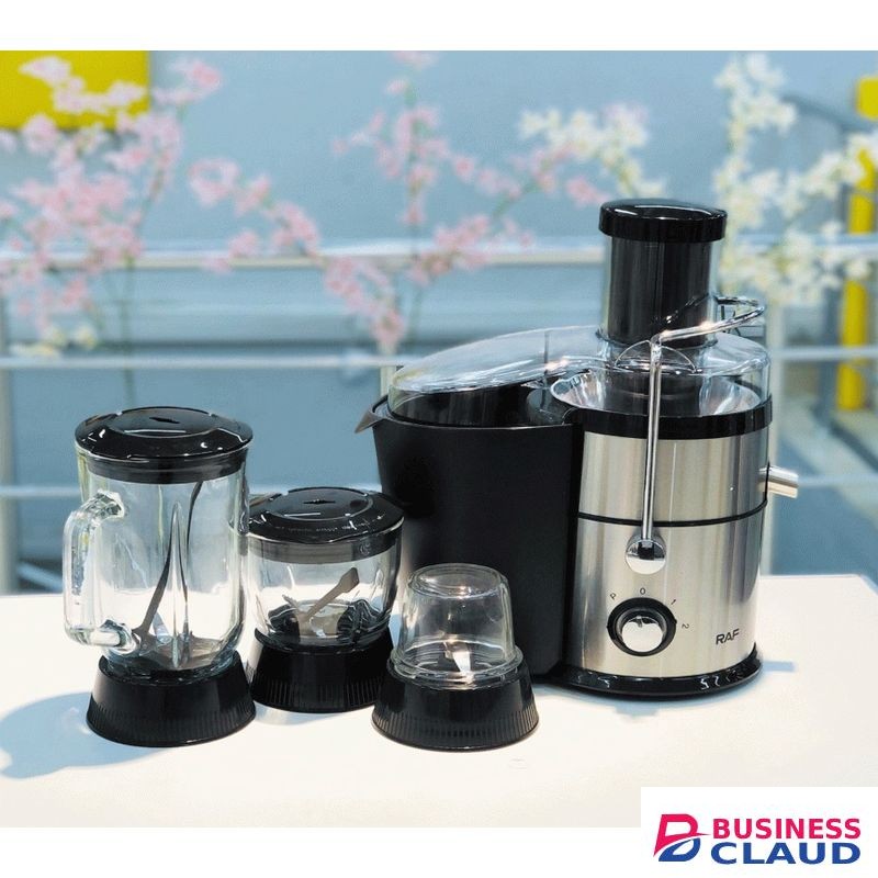 RAF 1000W Powerful Fruit And Vegetable Juicer Machine With Blender And Grinder