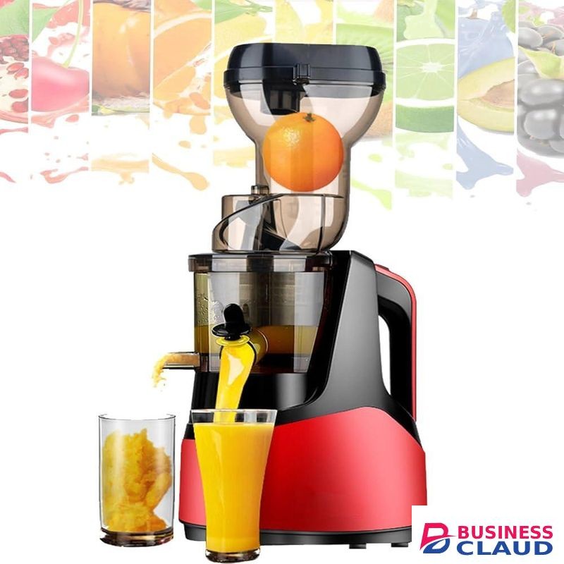 Slow Juicer for Fruits and Vegetables, 150W Silent Masticating Juice Extractor, Large Feed Chute, Juice & Pulp Containers Included, Easy to Clean