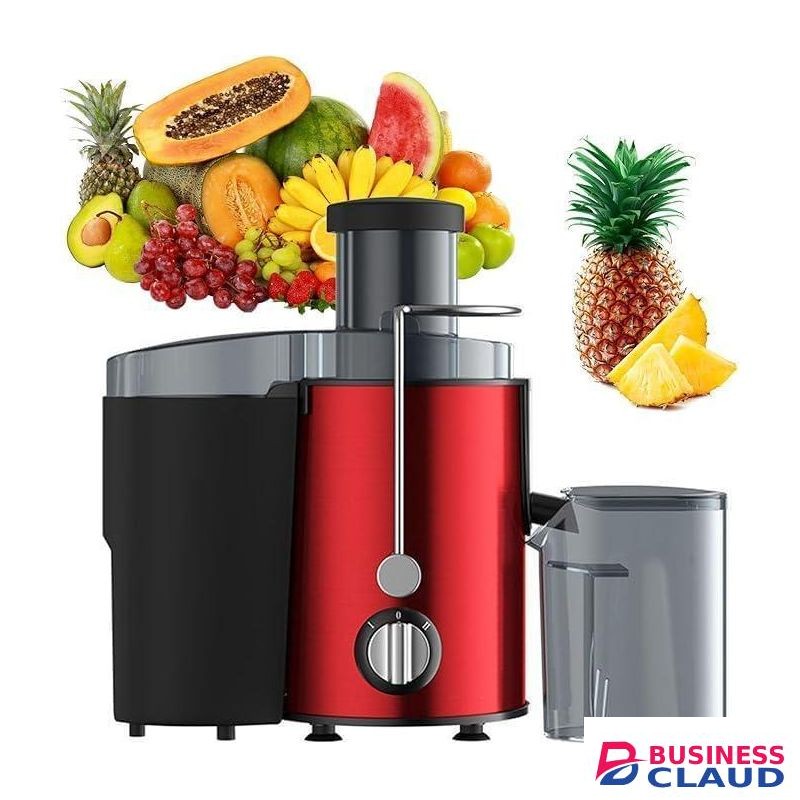 Hoffmans 1200W Heavy Duty Juicer Machine/ juice Extractor For Fruit& Vegetables- stainless