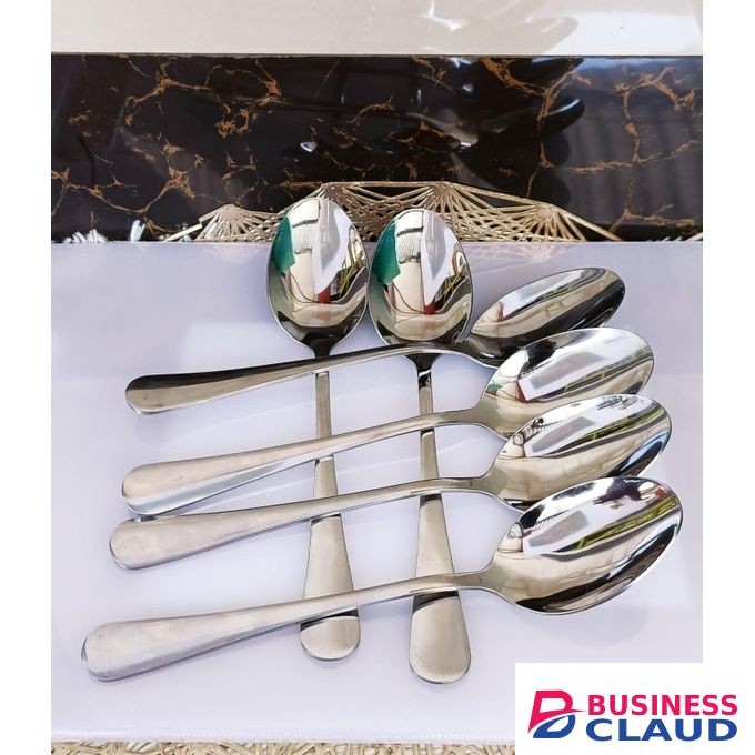6pcs heavy duty spoons