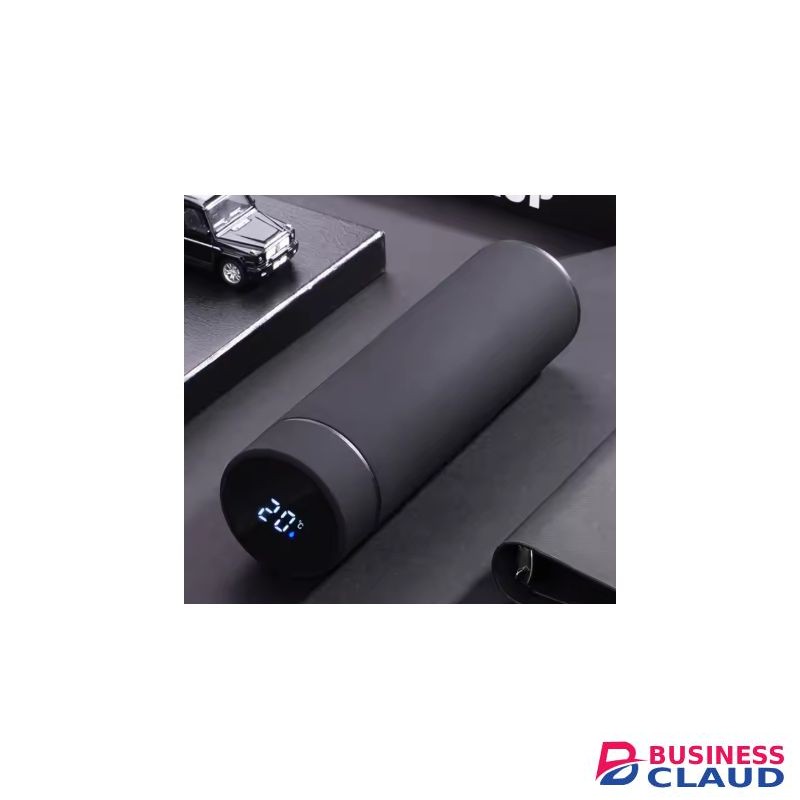 LED Thermal Bottle