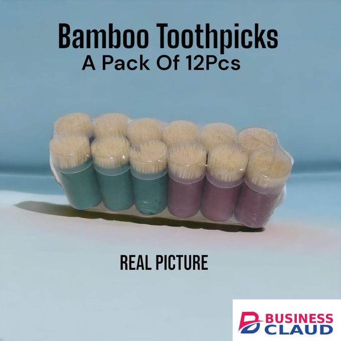 Toothpicks a pack of 12Pcs