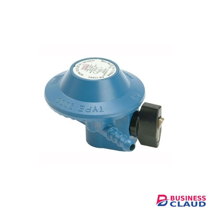 13KG Gas Regulator -blue