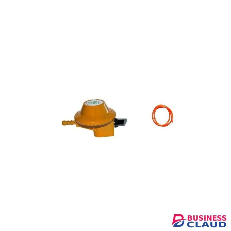Pine Gas Delivery Pipe 2M + 13Kg Gas Regulator