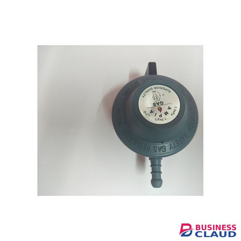 Kitchen Cooking Gas Regulator For 13KG Cylinder-Muliticolour