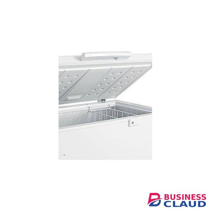 Hisense 702L chest freezer (2YRs WRTY)