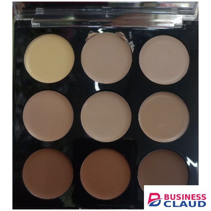 Micolor Concealer Make Up Color Palette No 2