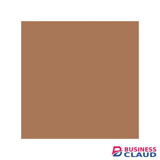 Blk Opl Total Coverage Concealing Foundation - Heavenly Honey.