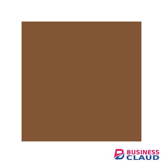 Blk Opl True Color PorePerfecting Powder Foundation-Beautiful Bronze.