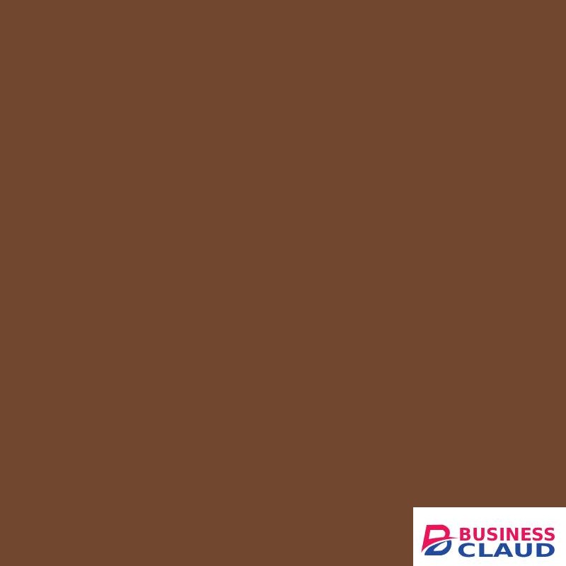 Blk Opl True Color PorePerfecting Powder Foundation-Carob.