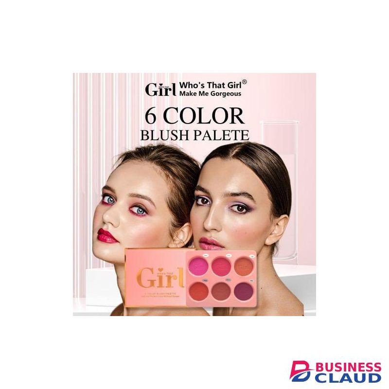 Girl 6 COLOR BLUSH PALETE