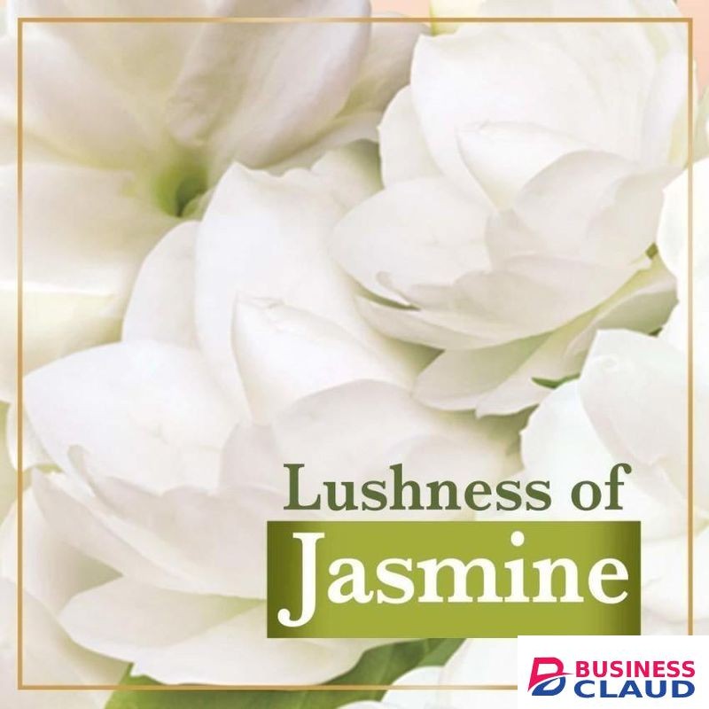 Lux Flaw-Less Glow Jasmine & Vitamin E Bar, Moisturizing Bathing Bar Soap for Soft, Glowing Skin & Body – (8 Packs)
