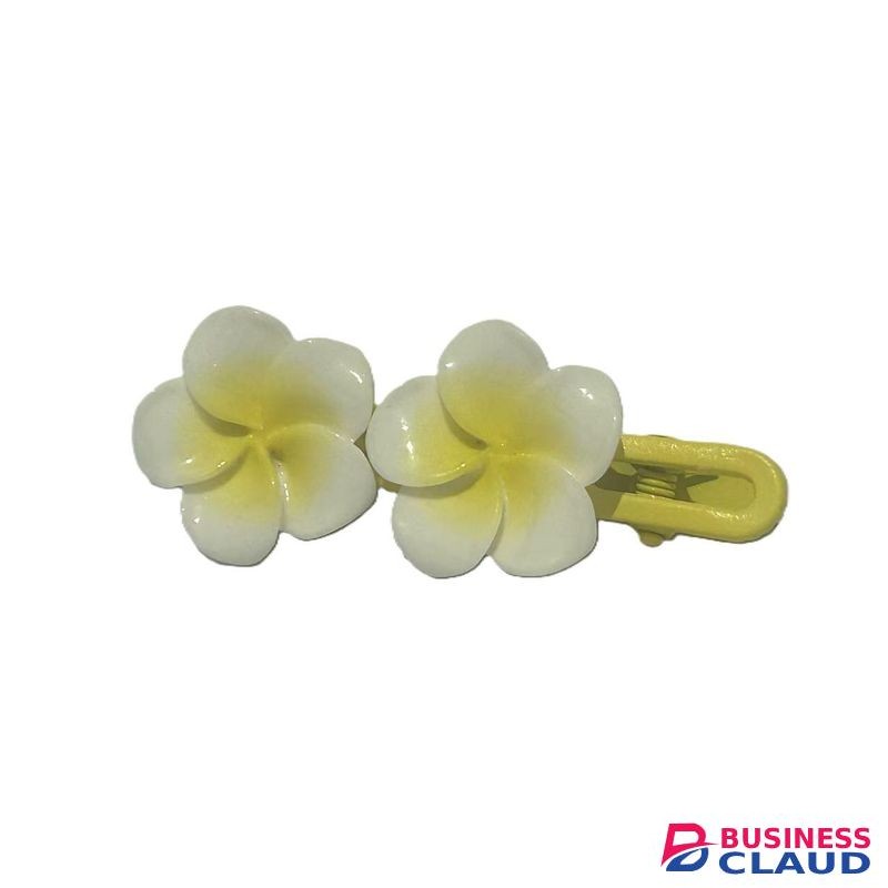 2 Pcs fashion flowers hairclip