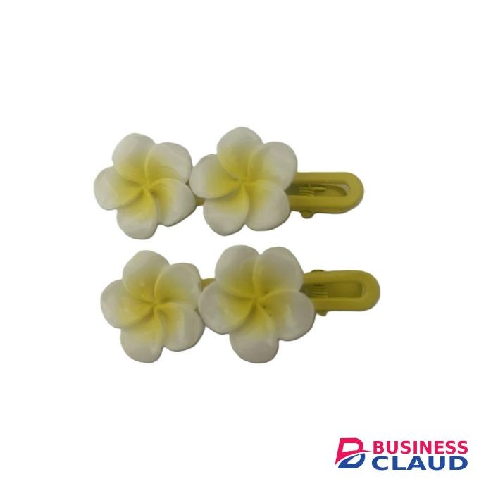 2 Pcs fashion flowers hairclip