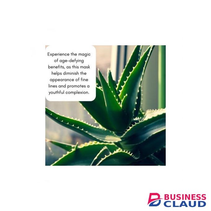Mekis Kaolin Clay & Aloe Vera Revitalizing Face Mask-For Radiant Skin