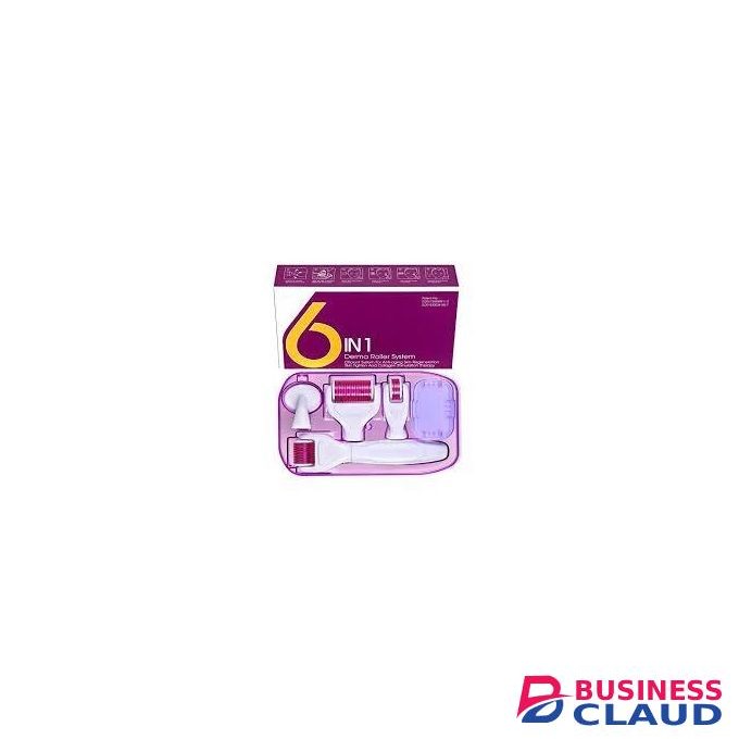 6 in 1 Derma Roller System