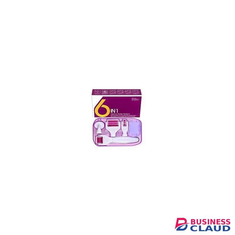 6 in 1 Derma Roller System
