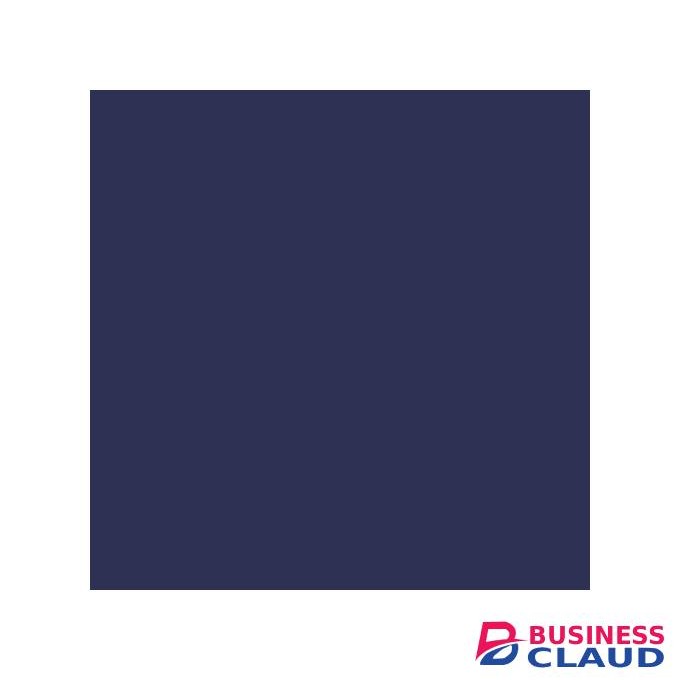 Black Opal Liquid Matte Lipstick - Indigo.