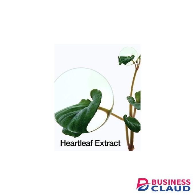 Anua Heartleaf 77% Daily Soothing Toner Calming Moisturizing Toning Cooling Helps Balance PH Free From Skin Irritation Anti-redness Toner