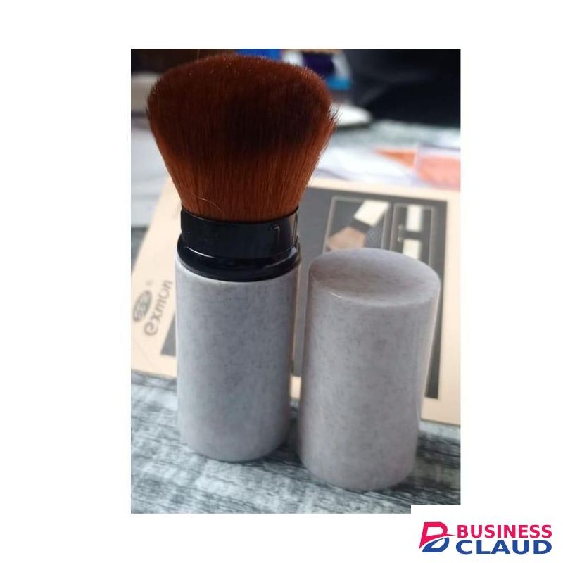 Professional Makeup Brush