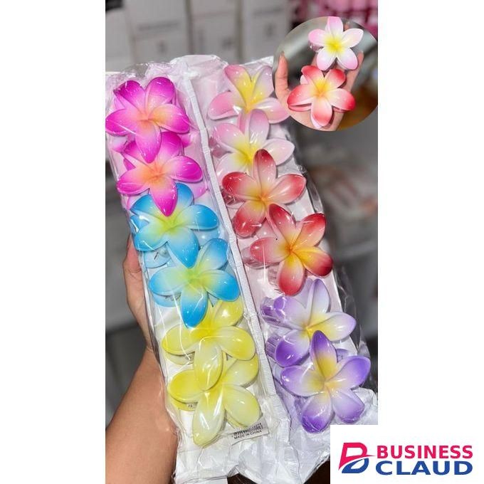 Her Pride Moana Hair Clips. Multi-colored Beauty 6PCS