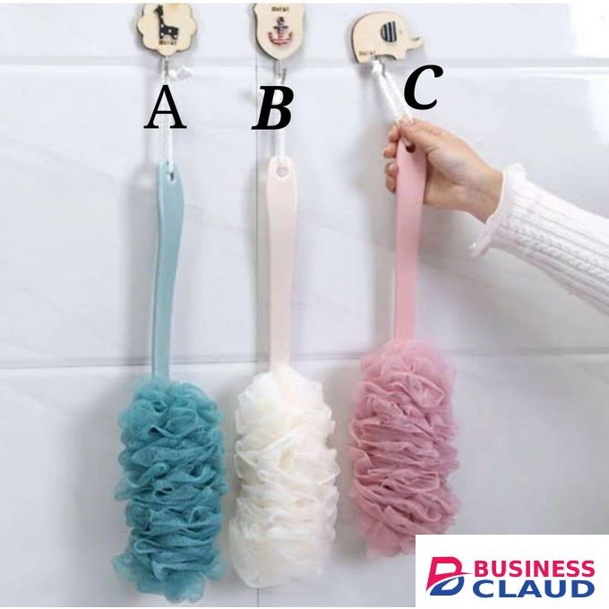 Shower brush with sponge