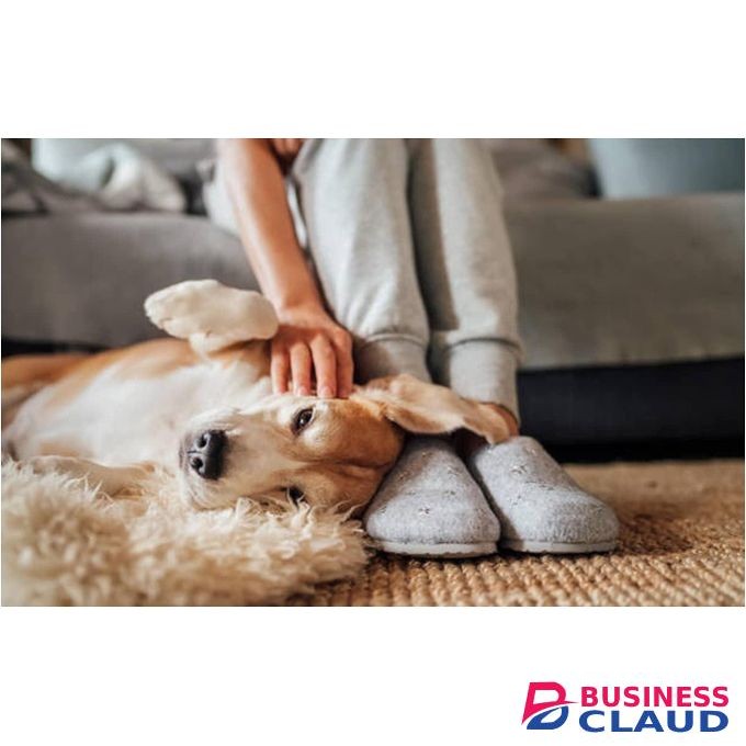 Duzzit Pet Carpet Freshener Powder Odour Neutraliser Shake & Fresh Vacuum 500g Made In UK