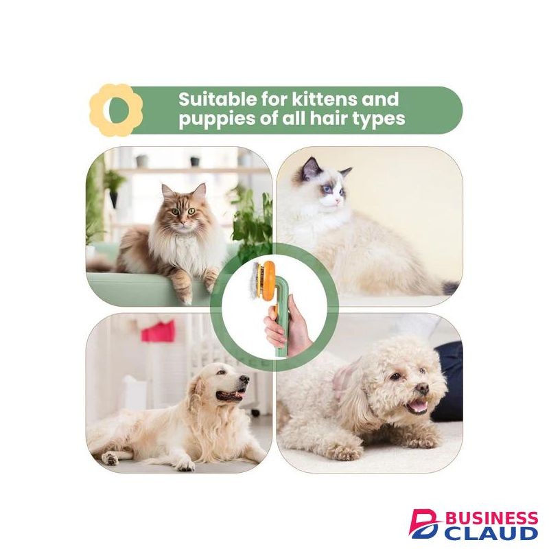 Premium Pumpkin Pet Brush – Buy 1 Get 1 Free(2 Brushes)