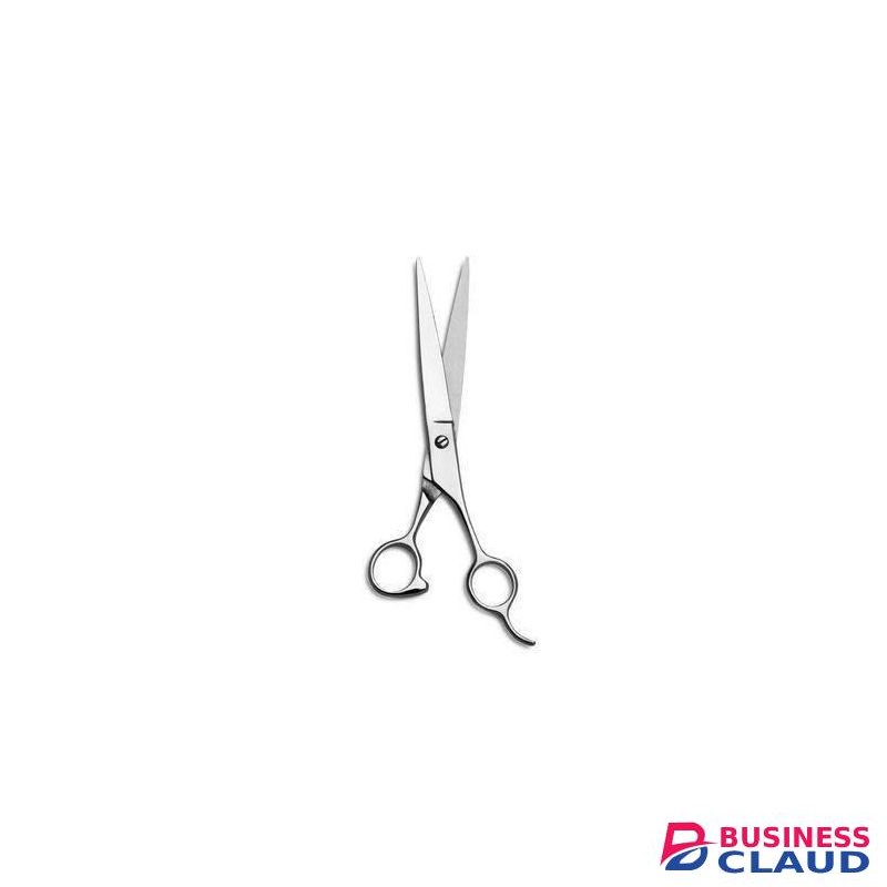 Zinger Professional Cutting High Quality Scissors