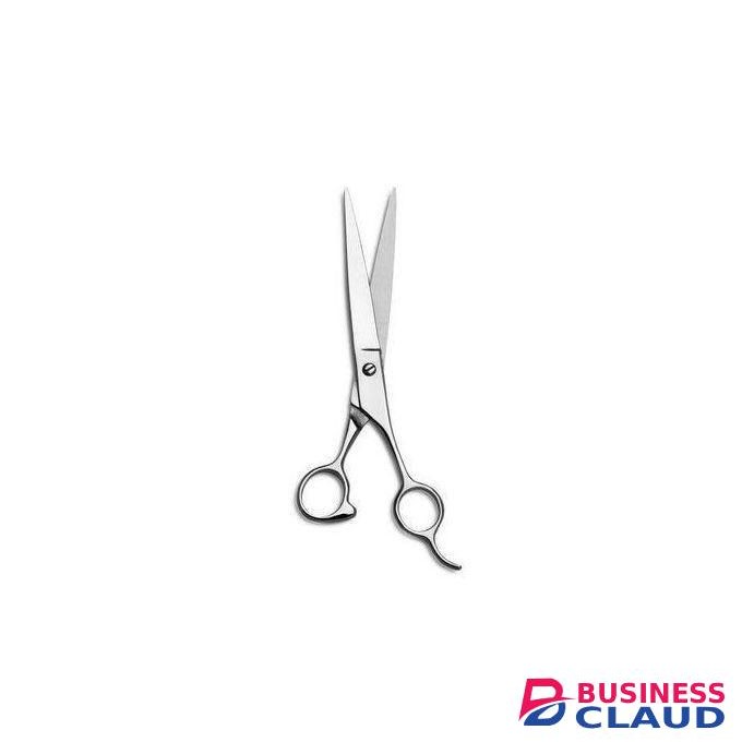 PROFESSIONAL HAIRDRESSING HAIR CUTTING SCISSORS