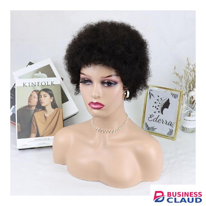Short Afro Kinky Curly Wave Hair WIG
