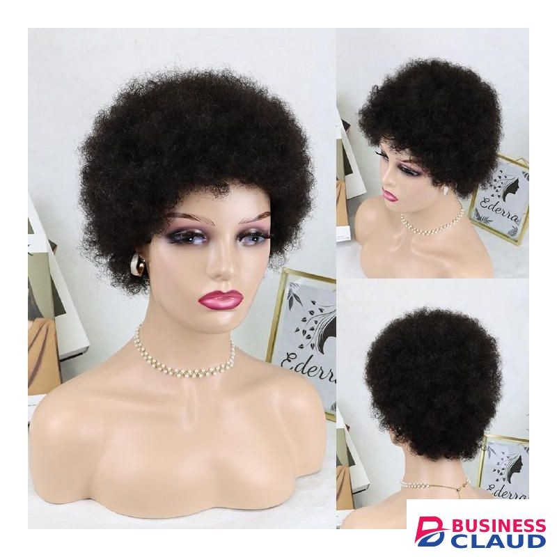 Short Afro Kinky Curly Wave Hair WIG