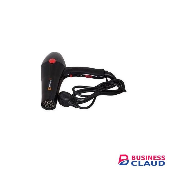 Sayona Commercial Salon Hair Blowdryer