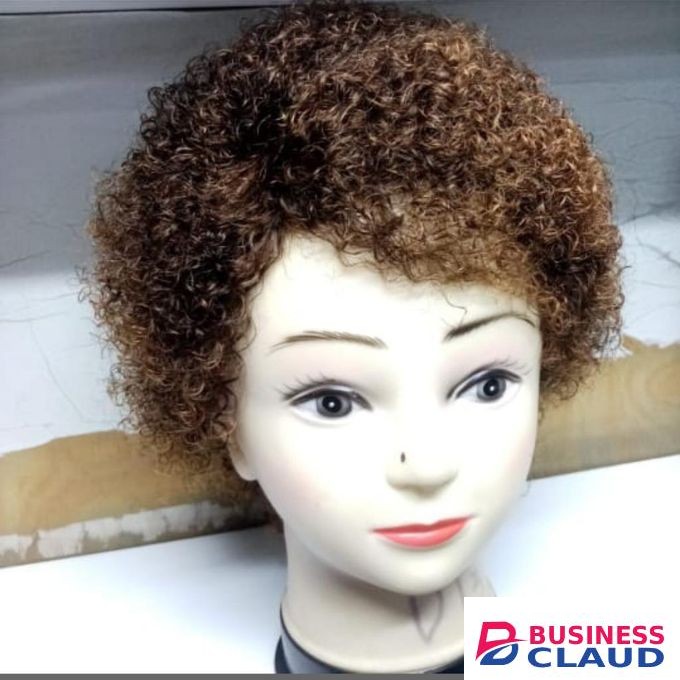 Fashion And Style Human Hair Wig
