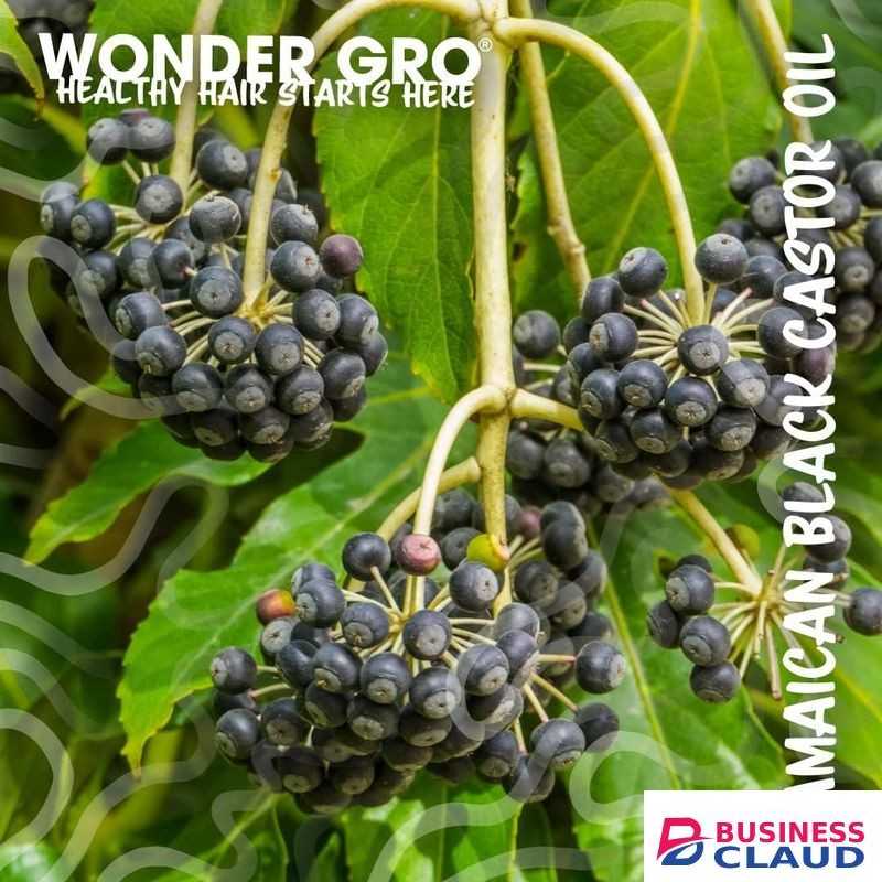 Wonder Gro JAMAICAN BLACK CASTOR OIL Hair & Scalp Conditioner Deeply Conditions And Leaves Hair Replenished