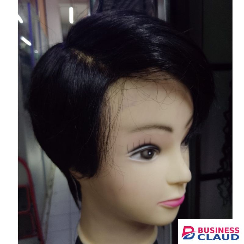 Short Black Human Hair Wig