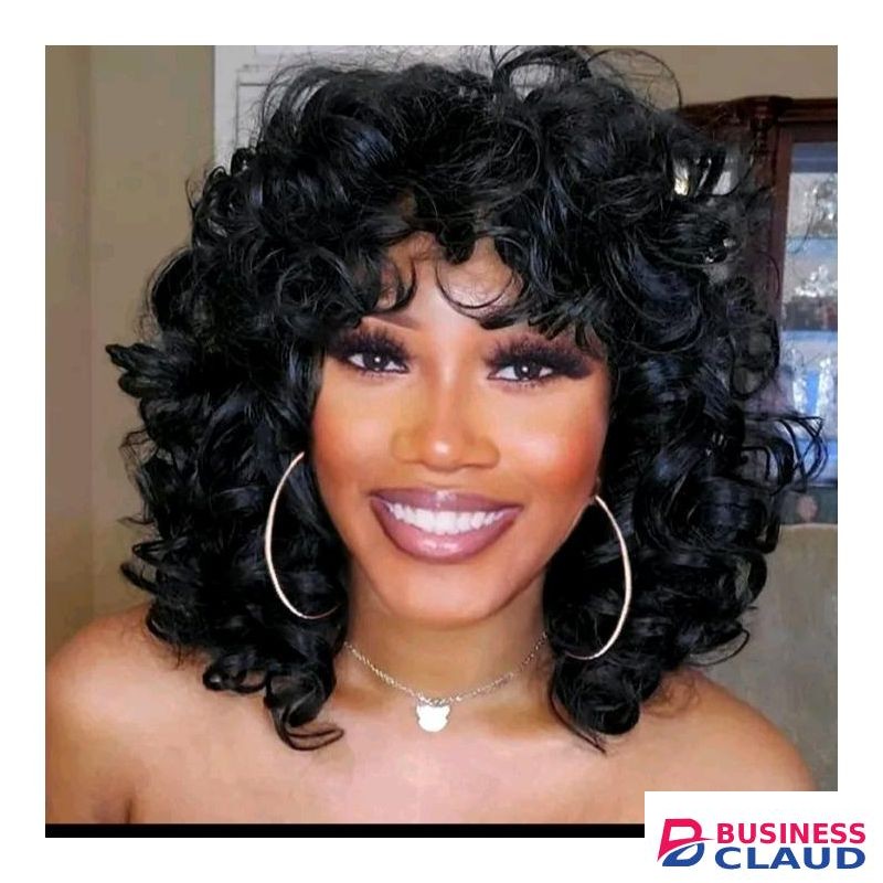 Premium Black Water Wave Glueless Wig Pre-cut HD Lace Wig Pre-prucked Natural Wave Curly Hair Wig For Women