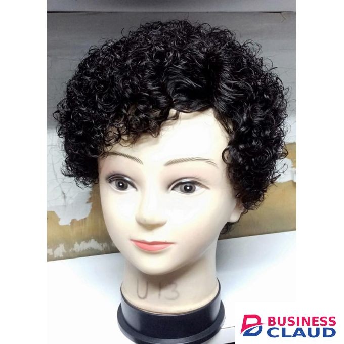 Fashion Classic Curly human water curl hair wig