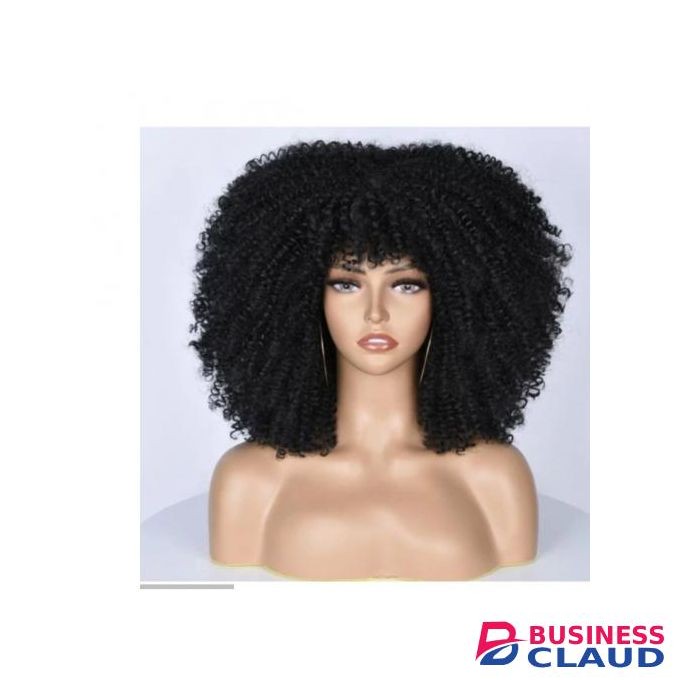 Classy Afro Kinky Curly Synthetic Wig + FREE Gift Inside!!!
