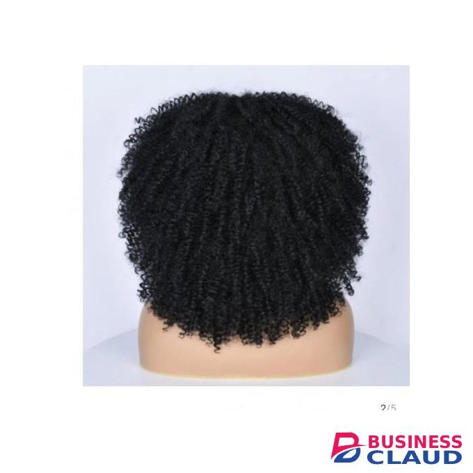 Classy Afro Kinky Curly Synthetic Wig + FREE Gift Inside!!!
