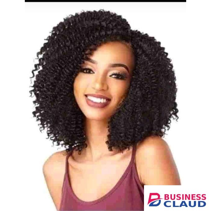 Short Curly Wig