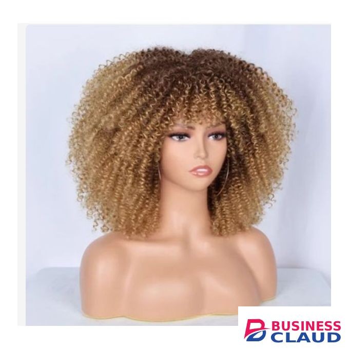 Big Afro Curly Wig