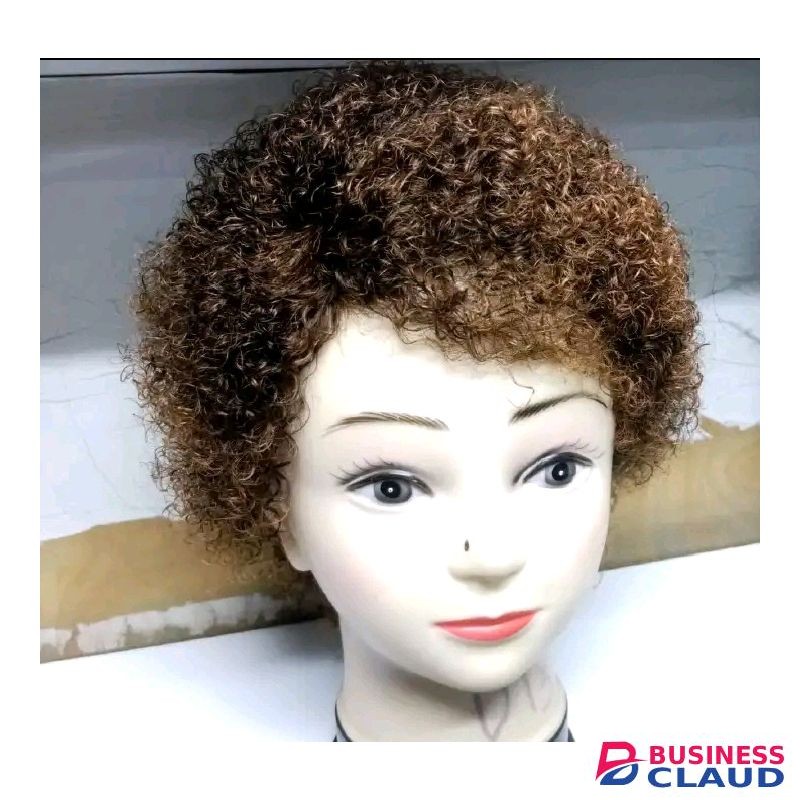 Short Curly Human Wig