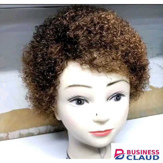 Short Curly Human Wig