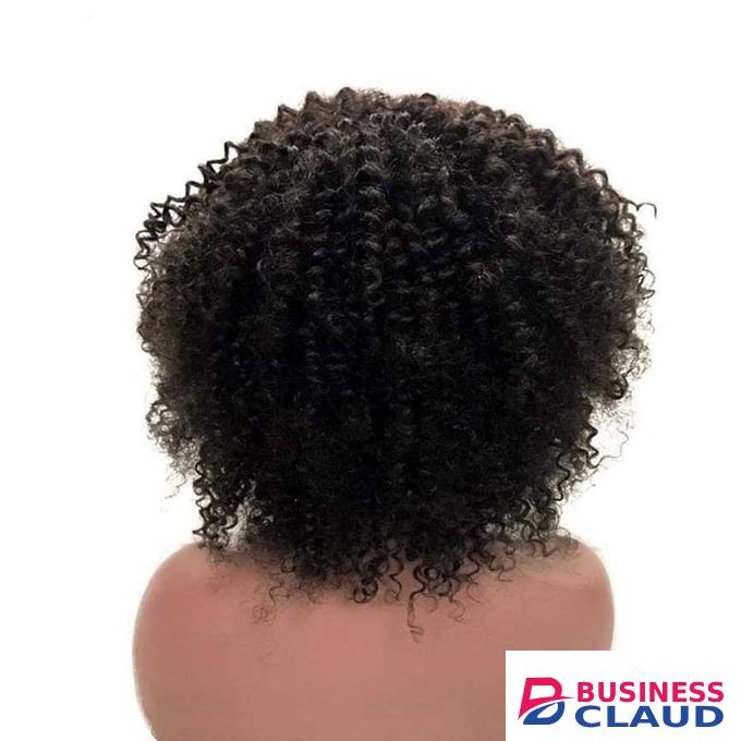 Natural Long Afro spring Wig - Black + FREE gift inside!