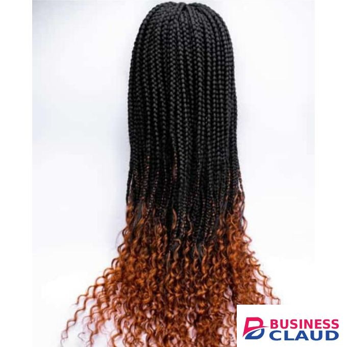 Wigs by Luminous Collections Long Braided Wig